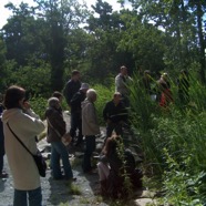 Visiting the reed bed sewage treatment.jpg